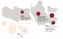 KSA, UAE, Egypt will gain the most from AI